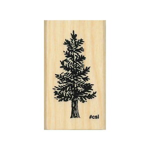 ǂ̂ NACuX^v 1533-058݂̖