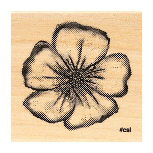 ǂ̂ NACuX^v 1535-027 