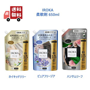 ԉ tA tOX IROKA XpEg ߂p 650mL ylCLbh[z ysAt[WAz ynT[tz