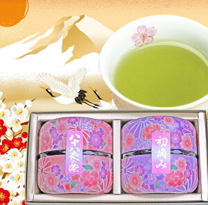 Ε Mtg  2023 v[g xmR̓Mtg Eݒ50gƔ\Eݒ50g Ε ̓   ㋉ t lߍ킹Zbg