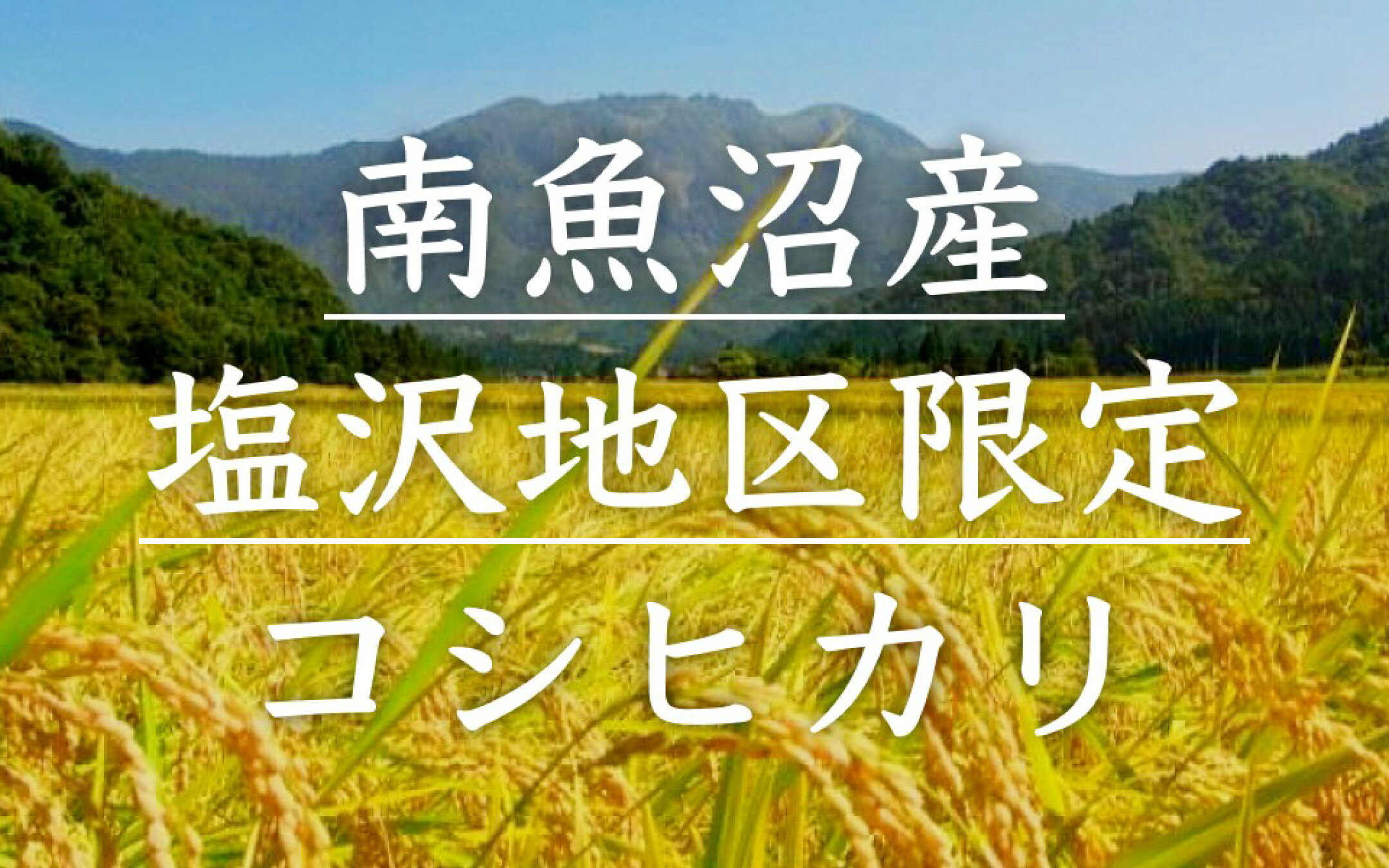 南魚沼産塩沢地区コシヒカリ