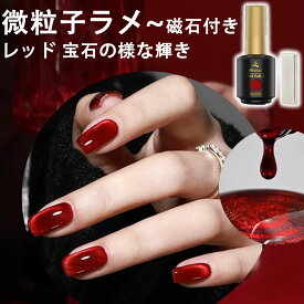 【冬得セールx10%OFF券】 Biutee ジェルネイル カラー ジェル 初心者 爪に優しい 8ml カラージェル ジェルネイルアート マグネットネイル ジェルネイル キャットアイ 猫の目効果 半透明 クリアカラー UVLED対応 プロ 超安い 母の日