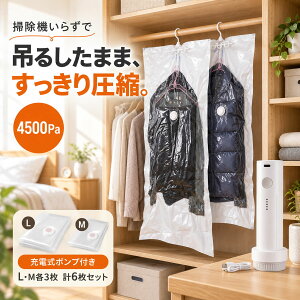�y�H�̓���SALE�E�ő�18%OFF�E�|���@�s�v�zDEWEL ���k�� �ߗ� �݂艺�� 6���Z�b�g �d���|���v�t�� �R�[�h���X �ߗވ��k�� �z�c���k�� �^����[�� �[�d�� 4500Pa ���͋z�� �ߑւ� �z�c���[ �h�� �h