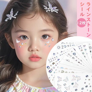 ynEBZ[20%OFFz Biutee 12Zbg CXg[V[ {XebJ[  3D LL  V[ tFCXXebJ[ Jt ACCN lCp[c 䉻 ڒܕs