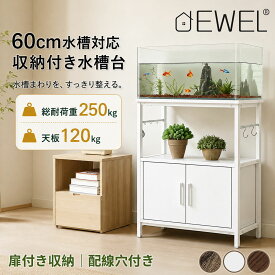 【マラソン | 最大18%OFF・ 楽天1位20連冠・地震対策・頑丈】DEWEL 水槽台 60cm キャビネット おしゃれ 水槽スタンド 3段 扉収納 ロッカー 組み立て簡単 インテリア 配線穴 フック アジャスター 天板耐荷重120kg 幅60×奥行30×高さ70cm (メダカ 金魚 熱帯魚)