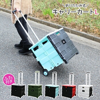 【送料無料】キャリーカート折りたたみふた付き軽量買い物コンテナカートショッピングカート買い物カートキャリー台車エコバッグアウトドアキャンプスポーツレジャー運動会コンパクト車載便利かわいいおしゃれハンドキャリー