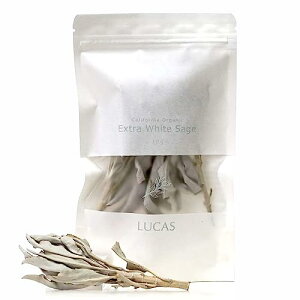zCgZ[W JtHjAY I[KjbNE_  }[t white sage SBNRiUSDAECCOFEzCgZ[WF؎擾jLUCAS JX (10g)