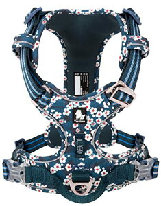 cocomall 2020V^ pn[lX p hbO ybgpi n[lX 3Mˍޗ P iC ^A^A^Ɍ ʋC ߉\ (M, Saxony Blue)