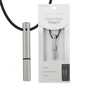 {fBfBt[U[ (Body-Diffuse) Body-Diffuser A}y_gX}[g SV A}P[X6mm×45mm/lbNXgbv80cm