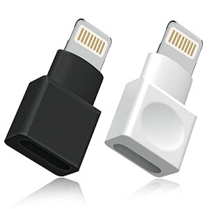 ���C�g�j���O�����P�[�u�� �A�_�v�^�[ 2�_�p�b�N Apple(�A�b�v��) MFI�F�� iPhone�[�d�� �����P�[�u�� �I�X�^�`���X�^ �h�b�N �G�N�X�e���_�[ iPhone 13 12 11 X XS XR 8 7 6 5 iPad �I�[�f�B�I/����/�f�[�^