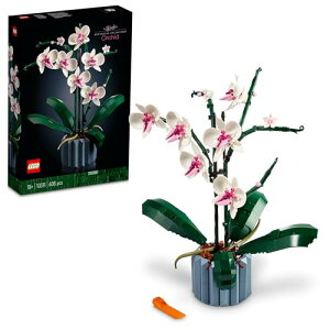 ���S(LEGO) �{�^�j�J�� �Ӓ��� �������� �ߋ� �a���� �v���[���g �u���b�N ��̓� ���̓� �j�� ���� �ԑ� ���� ���� �C���e���A �I�V���� �� �� 10311