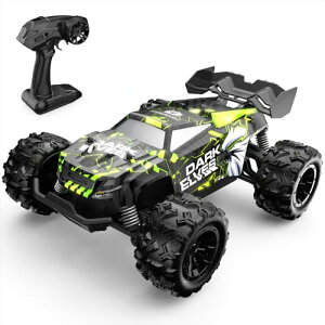 DEERC ���W�R���J�[ �q������ 1/20 �I�t���[�h 2.4GHz �Ɨ����� 40�����s 80m���� �ϏՌ� �����F�؍� S767 �O���[��