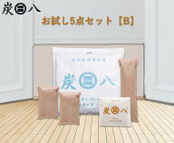 「正規販売代理店」　調湿木炭 炭八お試し5点セット「B」　湿気取り　繰り返し使える　消臭　防臭　防カ…