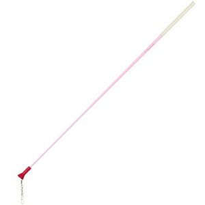 y`Rbg (chacott)z`ChXeBbN