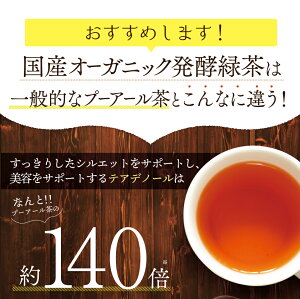 国産オーガニック発酵緑茶（2g×20包）