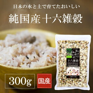 {̐ƓyňĂ  \ZGi300gj| 艟   哤  哤  茺  CQ 哤 ԕ  哤 Ђ A}TX G