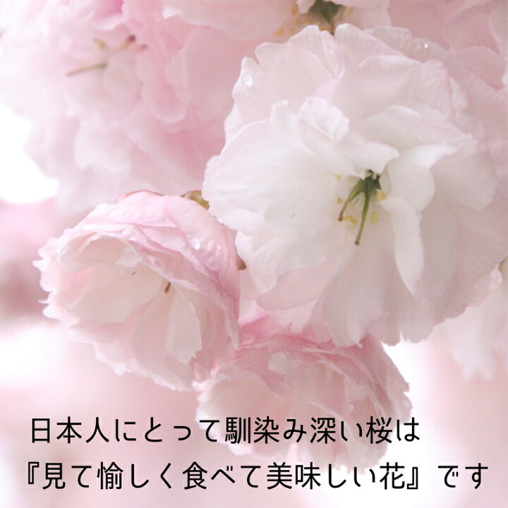 楽天市場 桜花と桜葉の国産さくらパウダー 40g 桜色の華やかな食卓に エディブルフラワー 食用花 桜の花 桜の葉 さくら Sakura お菓子作り 料理 京都 宇治 ヤマサン 京都 宇治 ヤマサン