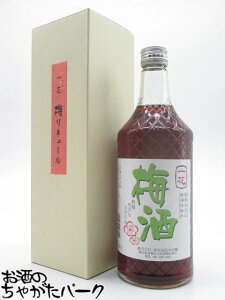 yX[p[Z[ԒGg[Ń|Cg10{Iz  ~ W ݂d 10x 720ml