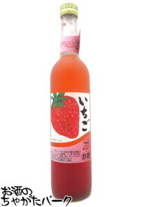 111IGg[Ń|CgobN100_I~} Ղ 肨낵䕂̉ʓ 500ml