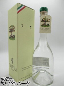 J|Bb  2019 PERE WILLIAMS t[cuf[ 41x 500ml