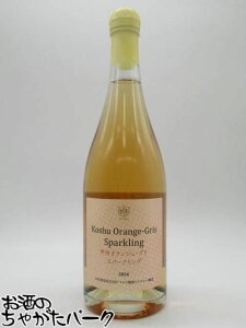 ubNtCf[ԒGg[Ń|Cg10{I{V bB IW O Xp[NO 2024  750ml