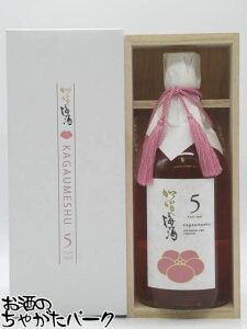 yX[p[Z[ԒGg[Ń|Cg10{IzݍΊy ~ 5Nn KAGAUMESHU ˔t 15x 720ml