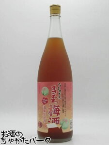 ubNtCf[ԒGg[Ń|Cg10{I[AEgbgi]yxsǁz ܂Ђ ܂Ђ~ Ad 12x 1800ml