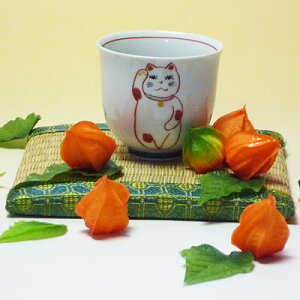 ZďLۂ݁ijîsjyhV̓Mtgz