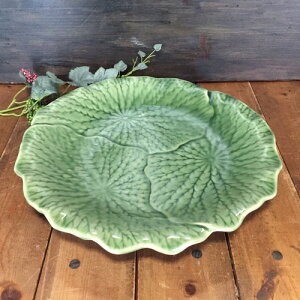 yM@@̗t 31cmzZhZh^CM^C^CG݃AWAG݃^CH