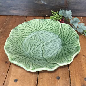 yM@@̗t 26cmzZhZh^CM^C^CG݃AWAG݃^CH