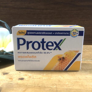 yvebNXΌnj[zProtexfIhg^CΌ}EEیʌŌ`Ό^CG݃AWAG