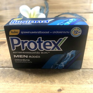 yvebNXΌzyMEN X|[czProtexfIhg^CΌ}Ō`Ό^CG݃AWAG