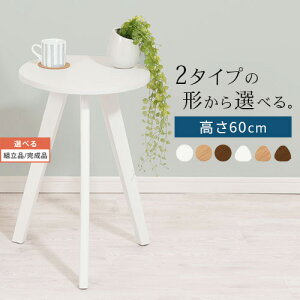 t[X^h ԑ u  ~j }`e[u  60cm V 40cm ؐ r VR rO Q   F RpNge[u TCh Ebhe[u ی^ Op^ z