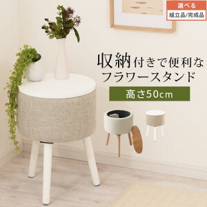 t[X^h ԑ u  ~j }`e[u  50cm V 35cm ؐ r VR z rO Q   F RpNge[u EWe[u Ebhe[u ی^ 