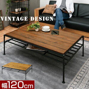 [e[u 120cm s80cm 38cm ؐ i`/EH[ibg TBL500374