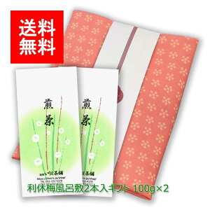 2025N V  MtgbVMtg#51 x~C~ 2ܓ(㔪 m) 100g×2b    [ނ [teB t MtgZbg VMtg j  
