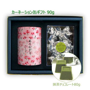 2025N V  MtgbVMtg#140 J[l[V(ɏ㔪) ~N`R[g Zbg 100gb   [ނ [teB t MtgZbg VMtg ̓ 