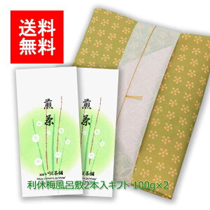 2025N V  MtgbVMtg#164 x~C~ 2ܓ(㔪 m) 100g×2b    [ނ [teB t MtgZbg VMtg ̓ j 