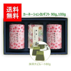 2025N V  MtgbVMtg#204 J[l[V(m×2) ~N`R[g Zbg 100g×2b  [ނ [teB t MtgZbg VMtg ̓ 