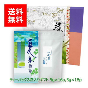  ~  MtgbăMtg#62 ĒeB[obO(肪˒) eB[obO Zbg 5g×16p 5g×18pb僖 ܒ s uh    eB[pbN 