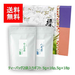  ~  MtgbăMtg#65 肪˒  eB[obO Zbg 5g×16p 5g×18pb僖 ܒ s uh    eB[pbN t MtgZbg VM