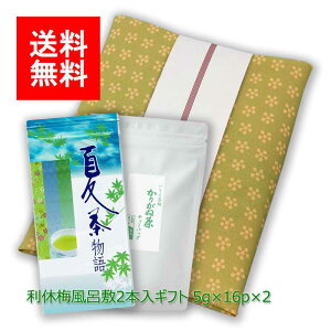 V  MtgbăMtg#95 x~C~ eB[obO2ܓ (Ē(肪˒) 肪˒) 5g×16p×2b僖 ܒ s uh  eB[pbN t MtgZb