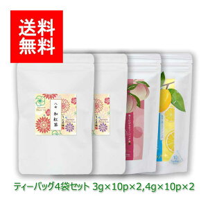 V  MtgbăMtg#98 ag×2 ⒃ ⒃ eB[obO Zbg 3g×10p×2 4g×10p×2b   [ނ eB[pbN t MtgZbg VMtg 