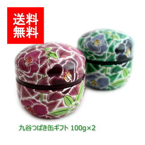 V  Mtgb~Mtg#117 J΂ Zbg(ɏʘI(`{ʘI) ɏ㔪) 100g×2b  ʘI  [ނ [teB t MtgZbg VMtg j  