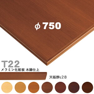 �������������Ȃ��@�v���d�l�@�e�[�u���V�̂݁@�ہy�J���[�F5N/8N/9N/3N/2N/1N/11N�z�iT22 ��750mm�@�V��28mm�jT-22 �����~�����ϔ@�؉��d�� �N���X�@�������(CRES)DIY