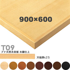 Ȃ@vdl@e[uV̂݁@yJ[F5N/8N/9N/3N/2N/1N/11N/6TziT09 W900×D600mm@V25mmjT-09 uiVRؓ˔@؉d NX@(CRES)DIY