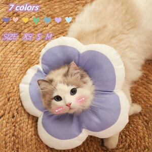 GUxXJ[ \tg y L  _炩 p PA ybg pi    r h~ {^ TCY   t[ fUC IV EȒP 􂦂  K[h 