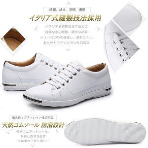 Xj[J[ Y fB[X y ʋC  C X|[cV[Y EH[LOV[Y  h\[ L [WTCY AEghA JWA XpCNX K 