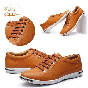 Y fB[X y ʋC  C X|[cV[Y EH[LOV[Y  h\[ L [WTCY AEghA JWA XpCNX K ₷ 