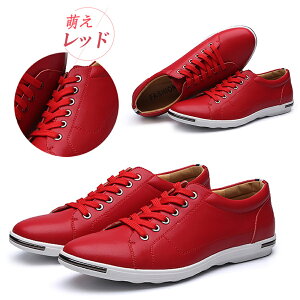 Xj[J[ Y fB[X y ʋC  C X|[cV[Y EH[LOV[Y  h\[ L [WTCY AEghA JWA XpCNX K 